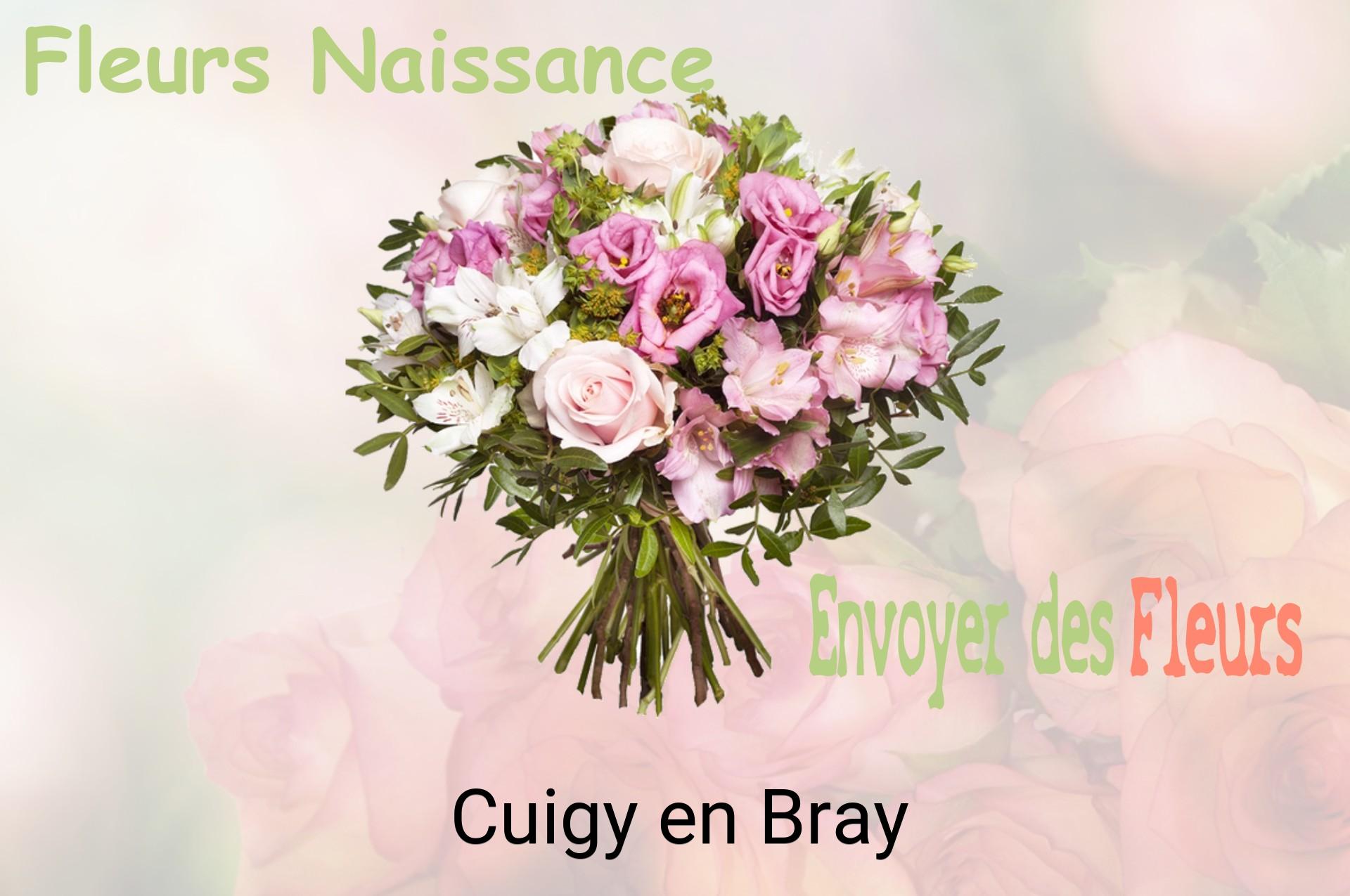 Bouquet de fleurs de naissance livré à Cuigy-en-Bray