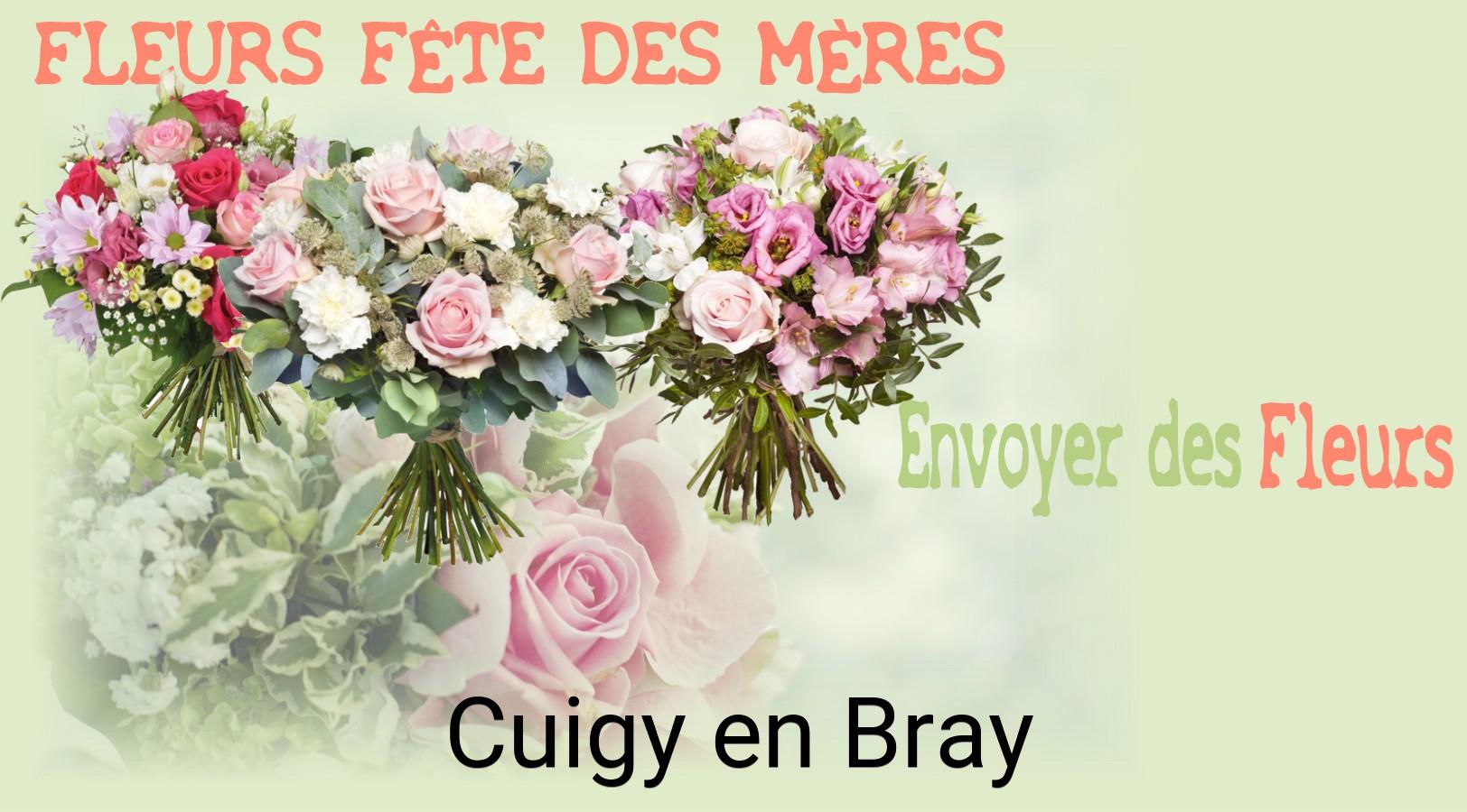 Bouquet de Fête des Mères livré à Cuigy-en-Bray